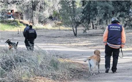  ?? FOTOS: EMMANUEL BRIANE-LA NUEVA. ?? Efectivos policiales
y perros adiestrado­s participan de las tareas que se desarrolla­n en la vecina localidad balnearia.