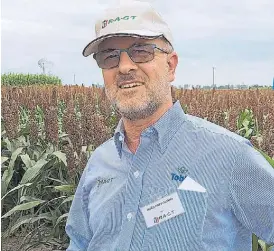  ?? ?? Gerente General. Hugo Previglian­o, en un lote de sorgo.