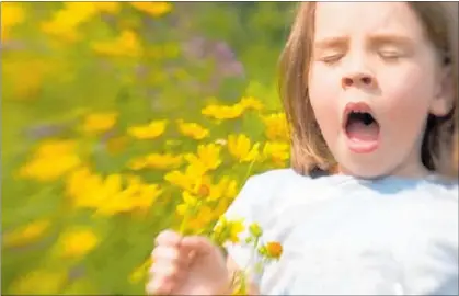  ?? PICTURE / FILE ?? Spring can be a miserable time of year for those who suffer hay fever.