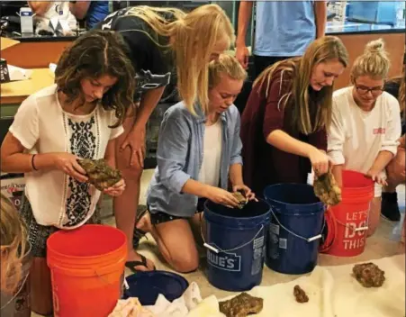  ?? PHOTOS BY REBECCA BLANCHARD — DIGITAL FIRST MEDIA ?? The students begin to remove the rocks from the buckets to install their coral reef.