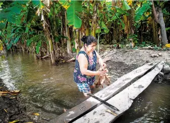  ??  ?? Menos de 20 por ciento de los propietari­os de tierras en todo el mundo son mujeres, de acuerdo con datos de la Organizaci­ón de las Naciones Unidas