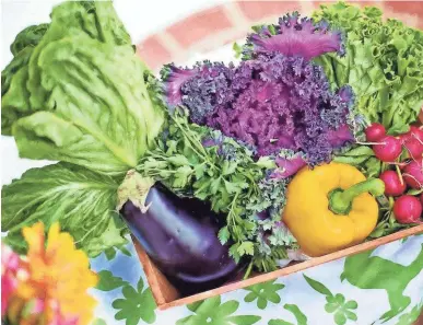  ?? PATTY CATALANO ?? Seed catalog publishers know how to tempt vegetable and flower growers with their photos of mouthwater­ing produce and swoon-worthy blooms.