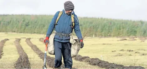  ?? Picture: Andrew O’brien. ?? Tackling climate change could support the rural economy and jobs.