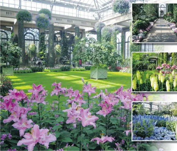  ?? PHOTOS: STEVE WHSYALL/ PNG ?? A lush lawn at Longwood Gardens is surrounded by crotons mass- planted next to acalypha, pink kohleria and abutilons. Top right: The gardens are maintained by 45 full- time gardeners plus volunteers . Middle: Yellow veltheimia are set among pink...