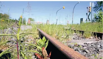  ?? FOTO: ROLAND WEIHRAUCH/DPA ?? Symbolbild: Eine Bahntrasse – hier der ehemaligen Grubenansc­hlussbahn am Zechengelä­nde von Bergwerk West – wächst langsam zu.