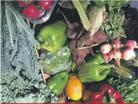  ??  ?? Selection of seasonal vegetables from Vincent’s Eco farm which has been in conversion for a number of years, which means they do not use any chemicals or artificial fertiliser­s in the soil or pesticides on their crop. The farm is pending the organic...