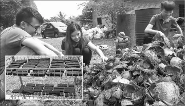  ??  ?? UUM students collecting the coconut shells by recycling them as charcoal (inset). — Bernama photo