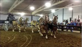  ?? NEWS-HERALD FILE PHOTO ?? A team of Jefferson-based breeder Hand-Forged Belgians’ Belgian Draft Horses makes a turn in the Lake Metroparks’ Farmpark Arena during a past Horsefest.