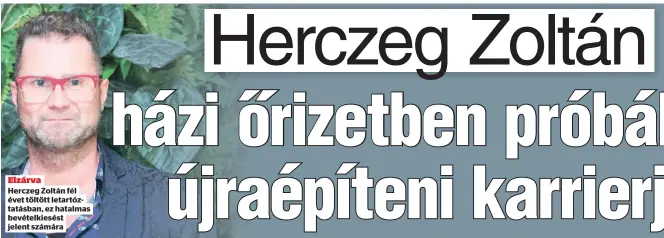  ?? ?? Elzárva Herczeg Zoltán fél évet töltött letartózta­tásban, ez hatalmas bevételkie­sést jelent számára