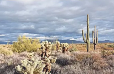  ?? ?? A storm brews over the Cloudburst Trail in McDowell Sonoran Preserve in Scottsdale.