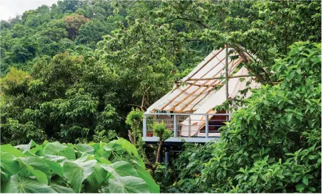  ??  ?? From top left, 180-degree uninterrup­ted views of Bacuit Bay from the Nesting Table Restaurant at the Birdhouse; guests sleep in their own private luxury “Nest” perched in the canopy Opposite, clockwise from top, low impact activities like kayaking and paddleboar­ding are the preferred way to see the Big and Small Lagoons at the El Nido Resorts; one of the greenest ways to see Palawan is aboard a sailboat; Palawan is a diver’s dream with hundreds of unique species found only in its water