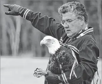  ?? KATIE SMITH/SALTWIRE NETWORK ?? Mi’kmaq elder Junior Peter-Paul points to the sky seconds before this eagle, which was injured and nursed back to health, was released back into the wild in Tracadie Cross, P.E.I.