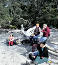  ??  ?? Above left: Lunch spot at Orokawa Bay. Above right: Sitting on the Tree trunk seat. Above middle right: A great spot to have lunch at Orokawa Bay. Middle left: Derek beside a very old puriri. Below left: A very old puiriri tree.