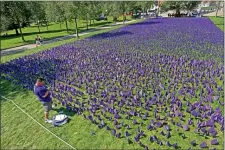  ?? MATT STONE — BOSTON HERALD ?? More than 22,000 flags were planted on Boston Common to memorializ­e the lives lost to overdoses over the last decade.