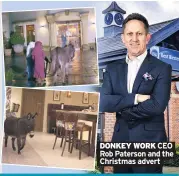  ??  ?? DONKEY WORK CEO Rob Paterson and the Christmas advert