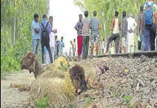  ?? HT PHOTO ?? The crime spot at Pindarsi village in Kurukshetr­a.