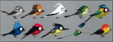 ??  ?? From basic body shapes, the art team used a range of crest designs and colouratio­n to produce these exotic song birds.