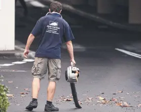  ??  ?? CLEARING THE AIR: One reader believes it’s time to do away with petrol-driven leaf blowers.