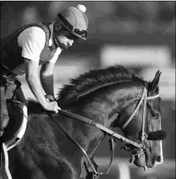  ?? BARBARA D. LIVINGSTON ?? Shaman Ghost goes into the Santa Anita Handicap off a second to Arrogate in the $12 million Pegasus World Cup on Jan. 28.