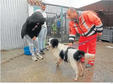  ?? E.S. ?? La evacuación de varios animales de la perrera de Los Barrios por la lluvia.