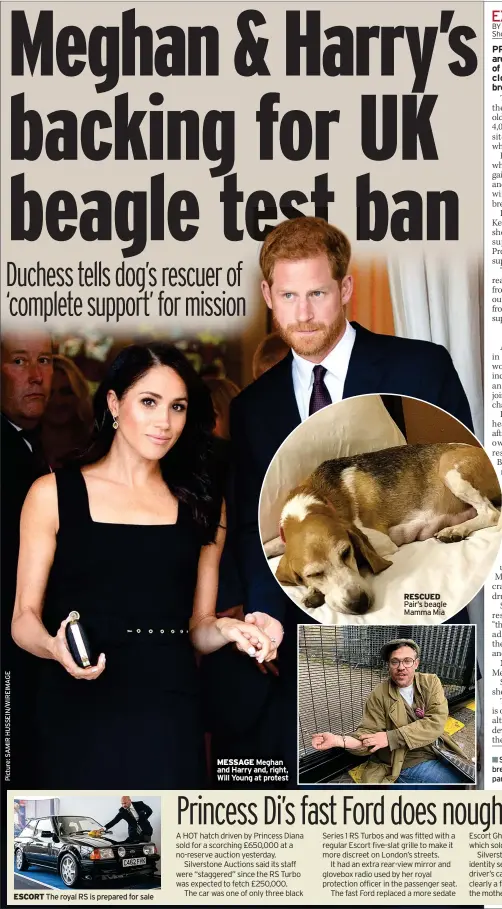  ?? ?? MESSAGE Meghan and Harry and, right, Will Young at protest
RESCUED Pair’s beagle Mamma Mia