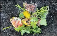  ?? JESSICA DAMIANO VIA AP ?? This photo provided by Jessica Damiano shows fruit and vegetable scraps in a planting hole in a Glen Head, NY, garden. As kitchen scraps decompose, they add valuable nutrients to the soil to nourish plants.