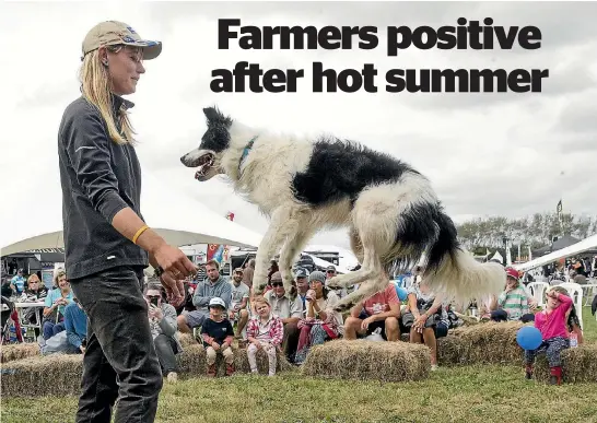  ?? PHOTO: WARWICK SMITH/STUFF ?? Chelsea Marriner entertains with her 6-year-old border collie dog, Rip.