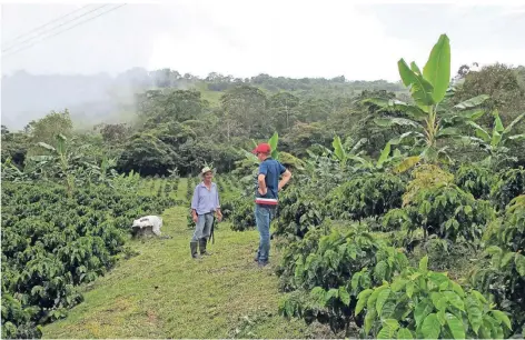  ?? FOTOS (2): RHEIN-KREIS NEUSS ?? Der Bürgermeis­ter von Campohermo­so, Pedro Miguel López Vela (r.), im Gespräch mit einem Kaffeebaue­rn.