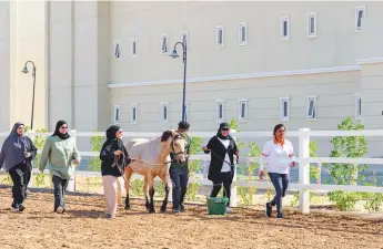  ?? ?? Around 200 Emirati female employees have benefited from the innovative sessions ■
held as part of the Leadership Skills from an Equestrian Perspectiv­e programme.