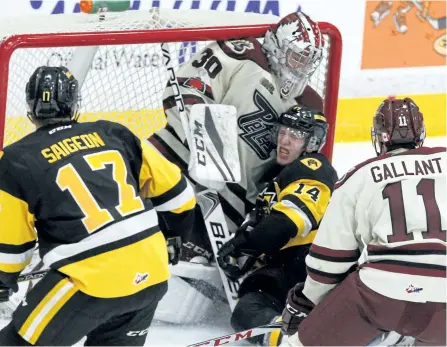  ?? CLIFFORD SKARSTEDT/EXAMINER FILES ?? Hamillton Bulldogs' Will Bitten crashes into Peterborou­gh Petes goalie Dylan Wells in OHL action on Nov. 23 at the Memorial Centre. While the Petes won that game, the Bulldogs are 18-7-6 and are strong contenders for the OHL Eastern Conference title this season.