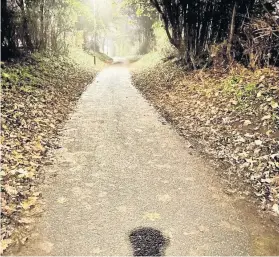  ??  ?? Police are making extra patrols after a series of attacks on the cycle path