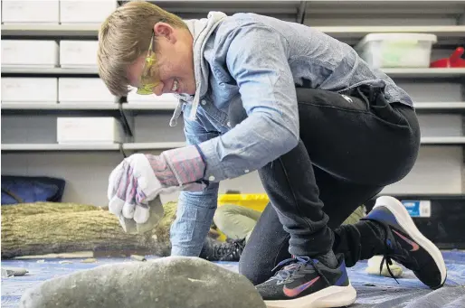  ?? PHOTO: GERARD O’BRIEN ?? Chip off the old block . . . Waitara High School pupil Joseph Hill, of Taranaki, makes a stone tool at the University of Otago’s HandsOn at Otago week yesterday.