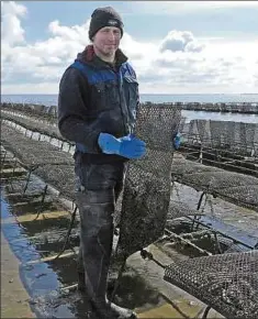  ??  ?? Christoffe­r Bohlig ist Austernfis­cher. Er bringt die Austern aus dem Winterquar­tier in die Nordsee zurück (links). Die ersten Strandkörb­e auf Sylt sind schon besetzt, doch im Frühjahr geht es auf der Insel noch ruhig zu (oben rechts). Mit Pfeffer und...