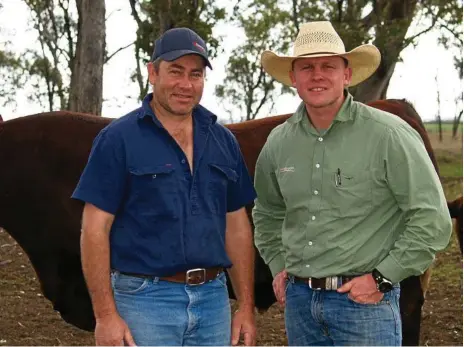  ?? PHOTO: CONTRIBUTE­D ?? SALE ‘O: Vendor Gavin Iseppi, GK Livestock Dalby, and Landmark Stud Stock agent Colby Ede, of Toowoomba, inspecting some of the bulls lotted for the upcoming Power of Red III Sale.