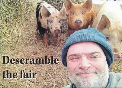  ?? SUBMITTED ?? Fernwood livestock farmer Ranald MacFarlane hams it up with some of his pigs in the selfie he took on Monday. MacFarlane supports a New Brunswick woman’s efforts to have all pig scrambles cancelled at fairs in the Maritimes.