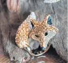  ??  ?? March fox motif ring.