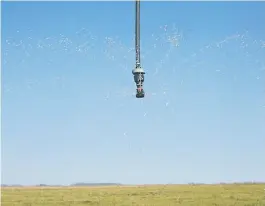  ??  ?? Gotas. La tecnología disponible permite hacer un uso preciso del agua.