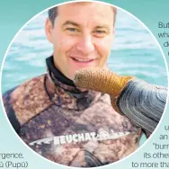  ?? Photo / Mike Bhana ?? Clarke Gayford discovers a seafood delicacy in Golden Bay. Main image: A satellite view of the sand sickle that is Farewell Spit, Photo / Getty Images