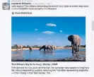  ??  ?? Actor Leonardo DiCaprio sends a tweet calling on the public to support a Thai campaign to end the illegal ivory trade.