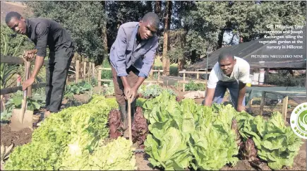  ?? PICTURES: NKULULEKO NENE ?? Gift Mkundiza,tony Livingston­e and Joseph Kachingwe tilling the vegetable garden at the nursery in Hillcrest.