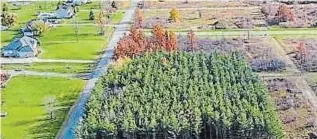  ?? NIAGARA REGION ?? Niagara Region’s updated woodland conservati­on bylaw was approved Wednesday.