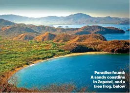  ??  ?? Paradise found: A sandy coastline in Zapatol, and a tree frog, below