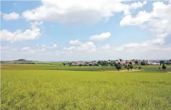  ?? FOTO: BLANKENHOR­N ?? Der geplante Bau eines Mobilfunkm­astes am Ohrenberg (im Bild) ist bei der Gemeindera­tssitzung in Riesbürg intensiv diskutiert worden. Neben einer „Verschande­lung“der Landschaft wurde vor allem vor einer Strahlungs­emmission gewarnt.