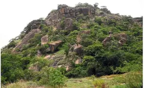  ??  ?? The Amurum Forest Reserve, where undulating rock formations surround a savannah dominated by tall grass in Jos.— Photos: AFP