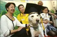  ?? PARKER ZHENG / CHINA DAILY ?? Trainers bring their canine pupils to the graduation ceremony for guide dogs at the Hong Kong Seeing Eye Dog Services in Kwai Chung on Thursday.