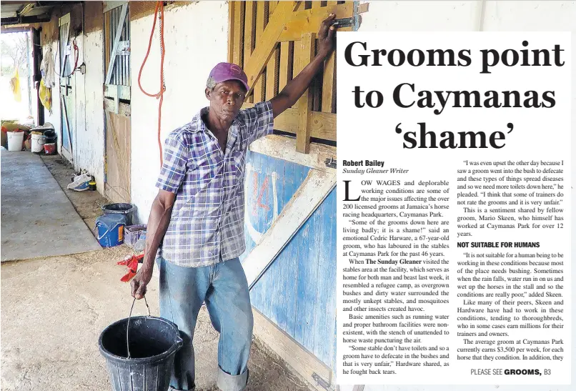  ?? CONTRIBUTE­D ?? Groom Cedric Hardware carries out his duties in the stables area at Caymanas Park recently.