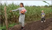  ?? Daniel Bell, File ?? Chelsea Gonzalez, 11, reads a quiz sign while navigating a corn maze at Copper Creek Farms while Ryder Rose follows behind.