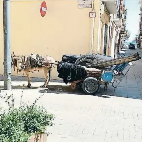  ?? ANTONIO SOLANA ?? El burro arrastra el carro de chatarra en Mataró