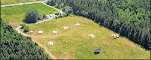  ?? CONTRIBUTE­D PHOTO ?? Live Life InTents is situated on about a one-acre site at Lee Fraser’s home in Margaree Forks. There are six glamping tent sites and eight convention­al tent campsites on an open pasture. The total area of the property is about 50 acres, much of which is forested.