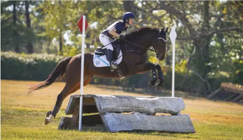  ??  ?? Former jockey Rosie Napravnik and Sanimo won the eventing portion of the 2019 Thoroughbr­ed Makeover in Lexington, Ky.